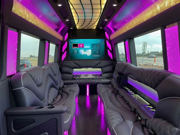 Sprinter limo lounge with TV – Golden limo service