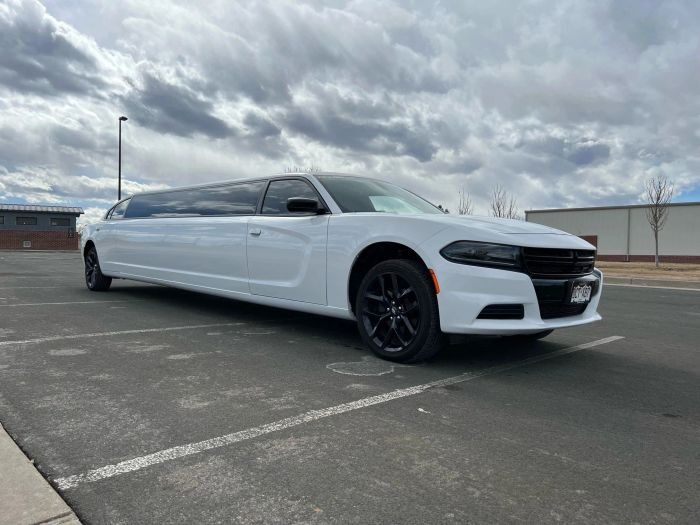 White stretch limo – Golden limo service