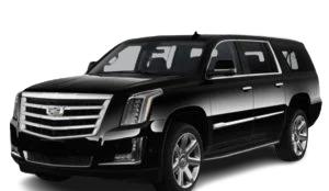 Golden black Cadillac Escalade executive SUV