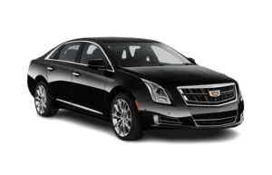Golden black Cadillac XTS executive sedan